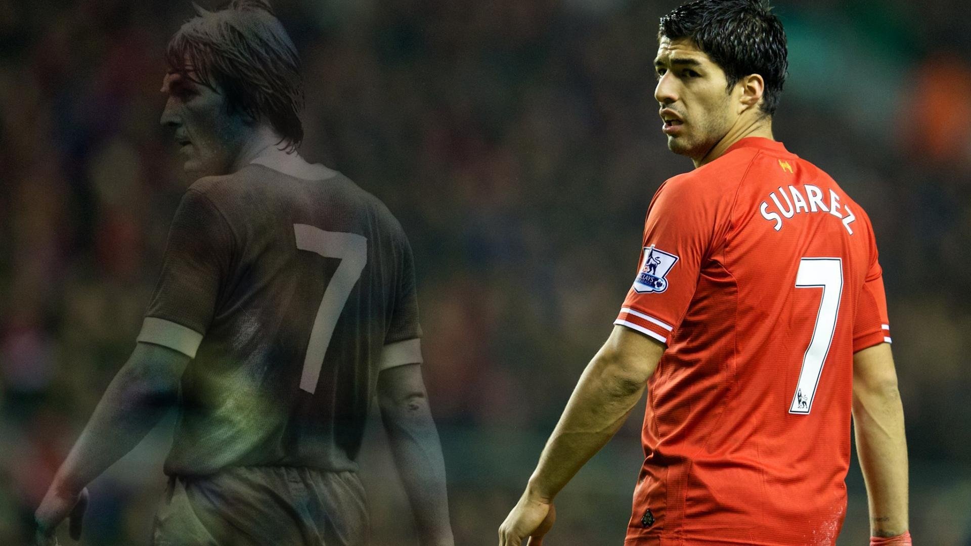 职业俱乐部建设球员能力图谱提升训练目标针对性,职业球队的图片